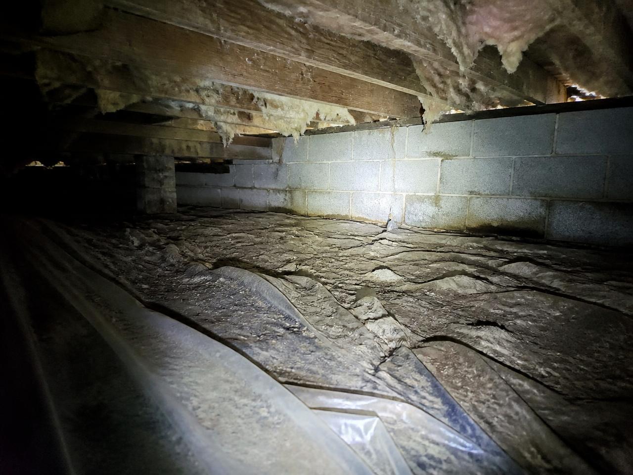 Flashlight-lit crawlspace under a home showing floor joists, block perimeter wall and torn vapor barrier